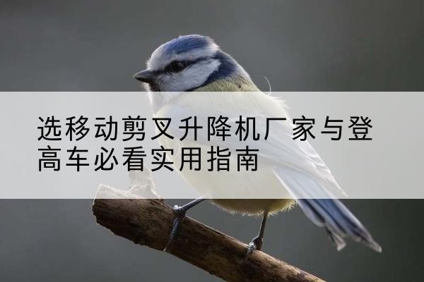 武陵电动升降机厂家-选移动剪叉升降机厂家与登高车必看实用指南