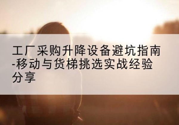 武陵移动式升降机怎么选-工厂采购升降设备避坑指南-移动与货梯挑选实战经验分享