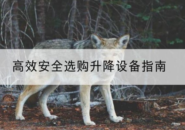 武陵升降货梯厂家推荐-*安全选购升降设备指南