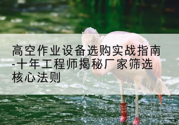武陵剪叉式升降机厂家-高空作业设备选购实战指南-十年工程师揭秘厂家筛选核心法则